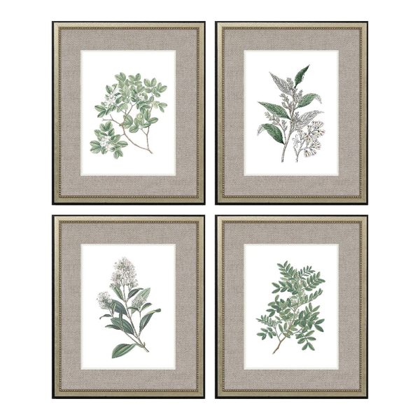 White Flowers Set of 4